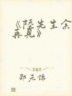 《陆先生余生不再见》