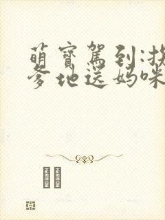 萌宝驾到:拐个爹地送妈咪