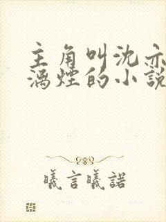 主角叫沈亦安叶漓烟的小说