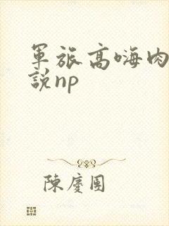 军旅高嗨肉辣小说np