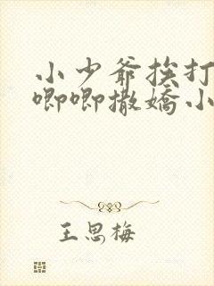 小少爷挨打后哭唧唧撒娇小说封面