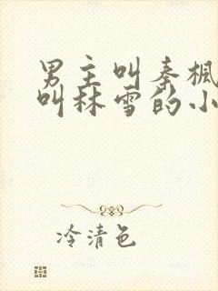 男主叫秦枫女主叫林雪的小说