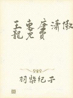 王东唐潇傲世潜龙免费封面