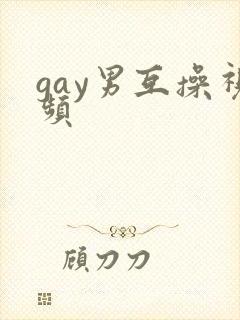 gay男互操视频