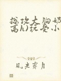 总攻大胸奶汁(高h)玩受小说