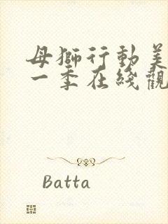 母狮行动美剧第一季在线观看免费