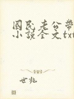 国民老公带回家小说全文txt