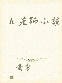 h 老师小说封面