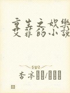 重生之娱乐圈周艾菲的小说