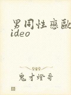 男同性恋欧美video