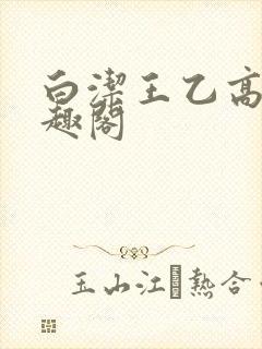白洁王乙高义笔趣阁封面