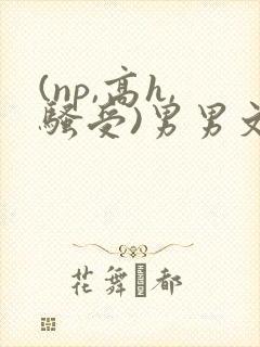 (np,高h,骚受)男男文