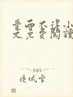 爱而不得小说全文免费阅读封面