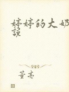 婷婷的大奶子小说