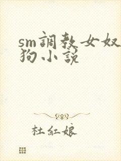 sm调教女奴母狗小说