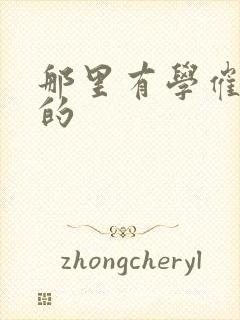 那里有学催乳师的