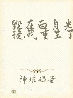 毁在白月光手上后,我重生了封面