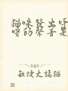 猫咪发出呼噜呼噜的声音是为什么封面