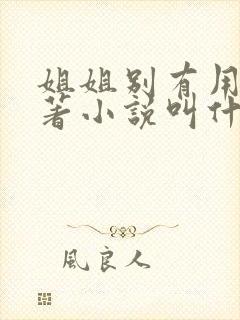 姐姐别有用心原著小说叫什么名字