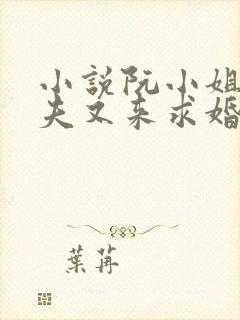 小说阮小姐的前夫又来求婚了免费