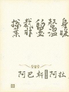 总裁的替身前妻叶非墨温暖