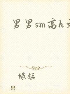 男男sm高h文