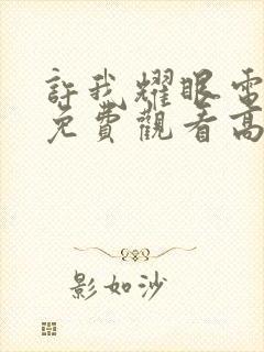 许我耀眼电视剧免费观看高清封面