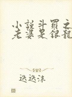 小说斗罗之我的老婆是银龙王封面