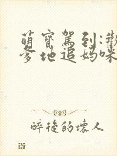 萌宝驾到:欢喜爹地追妈咪