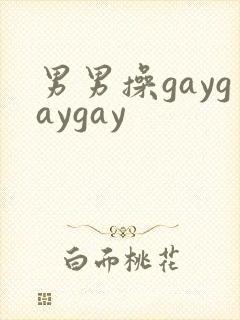 男男操gaygaygay