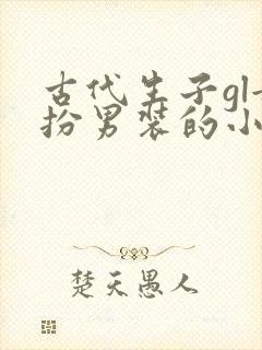 古代生子gl女扮男装的小说推荐