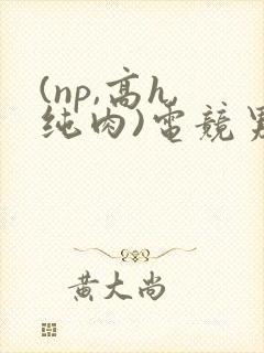 (np,高h,纯肉)电竞男男