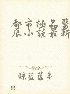 都市极品医神叶辰小说最新章节