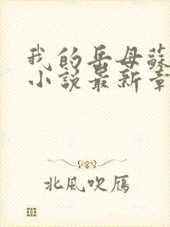 我的岳母苏沛真小说最新章节