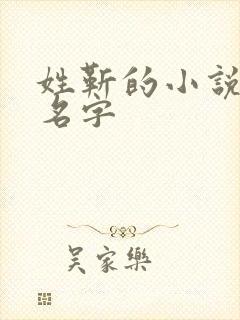 姓靳的小说女主名字封面