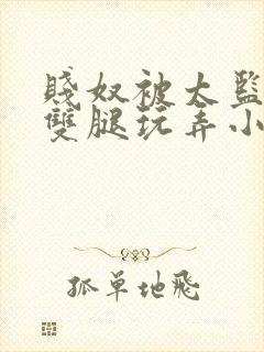 贱奴被太监扒开双腿玩弄小说封面