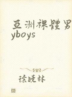 亚洲裸体男gayboys