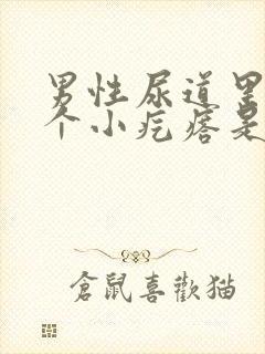 男性尿道里有一个小疙瘩是怎么回事封面