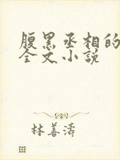 腹黑丞相的宠妻全文小说