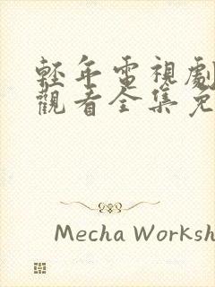 轻年电视剧在线观看全集免费高清