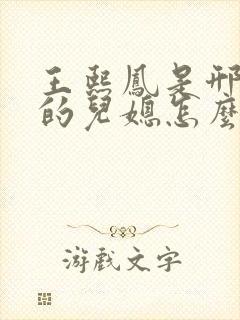 王熙凤是邢夫人的儿媳怎么在王夫人处