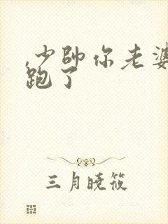 ,少帅你老婆又跑了封面