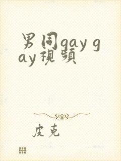 男同gay gay视频