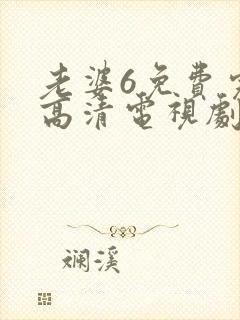 老婆6免费完整高清电视剧看封面