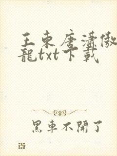 王东唐潇傲世潜龙txt下载