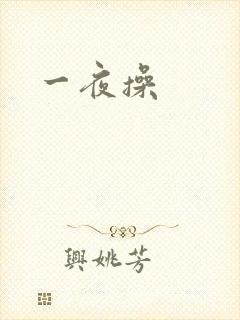 一夜操封面