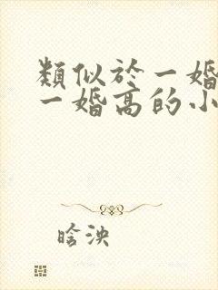 类似于一婚还比一婚高的小说推荐