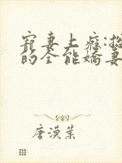 宠妻上瘾:总裁的全能娇妻