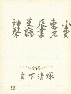 神墓辰东小说有声听书免费