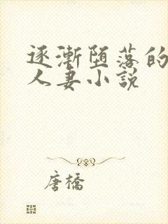 逐渐堕落的绝美人妻小说